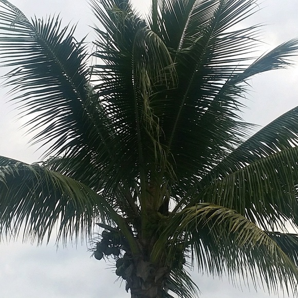 Meet the Posher Other - Meet your Posher, Monika